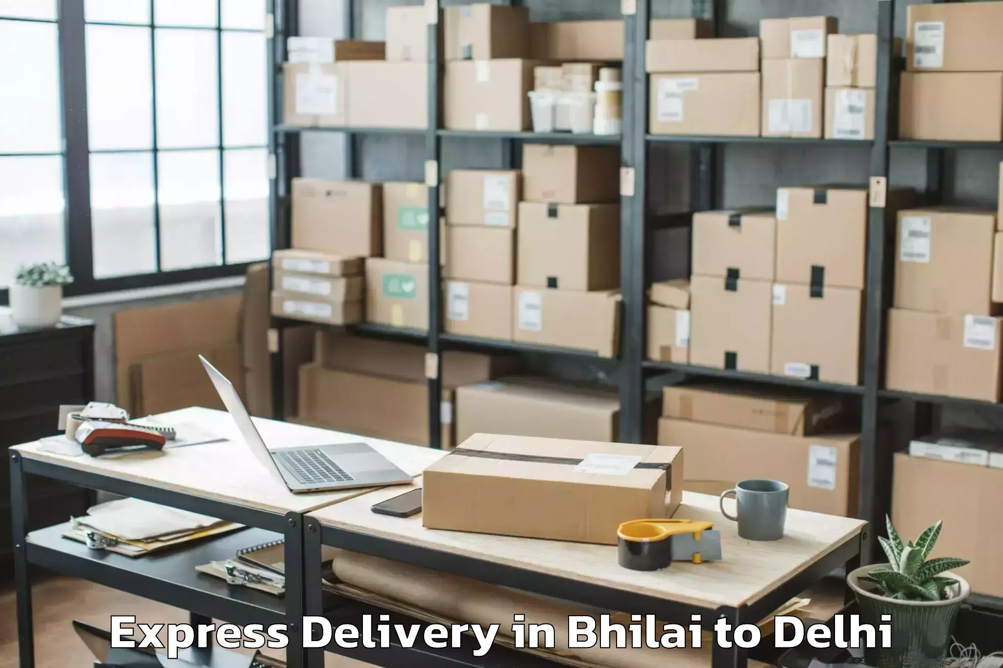 Professional Bhilai to D Mall Rohini Express Delivery